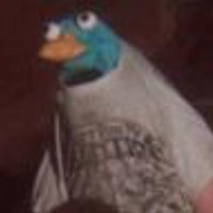 Meet your Posher, Eyough